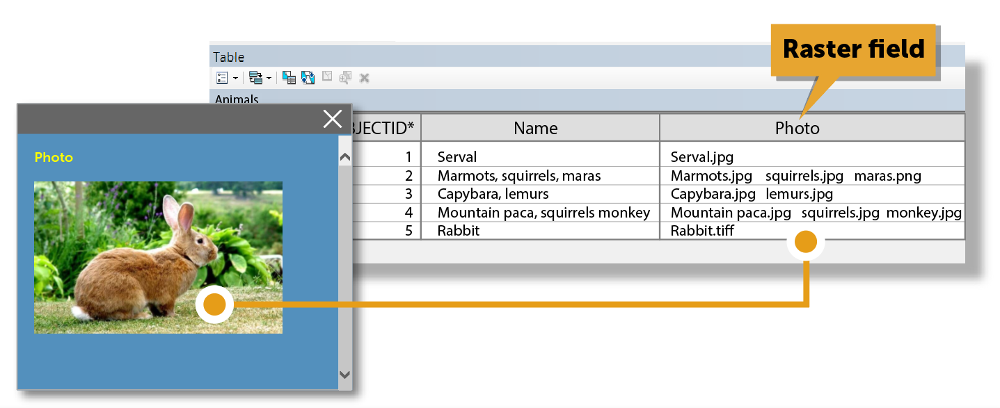 download carry map untuk arcgis